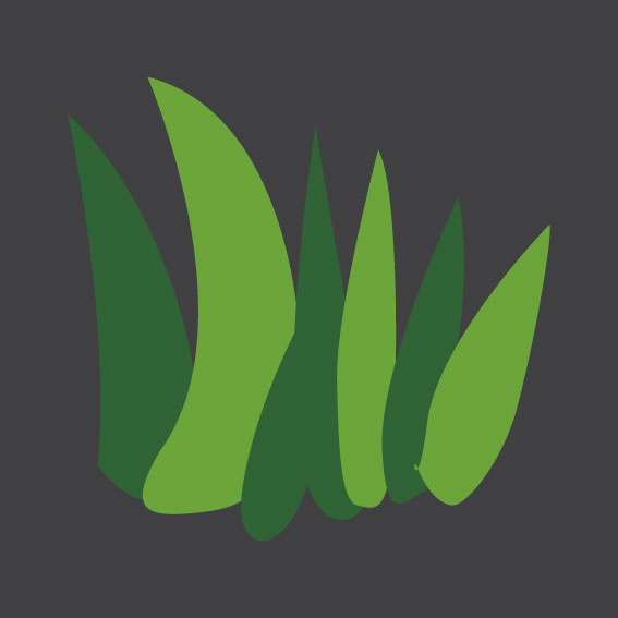 Grass 0.3m x 0.3m