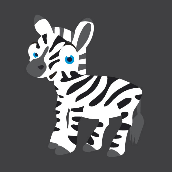 Zebra 1m x 1m